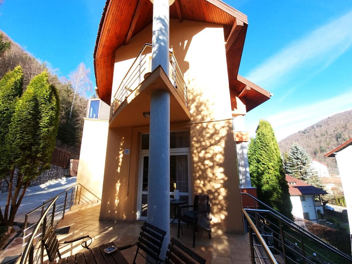 Marble Villa: Luxury Estate - Central But Intimate Sinaia Bagian luar foto