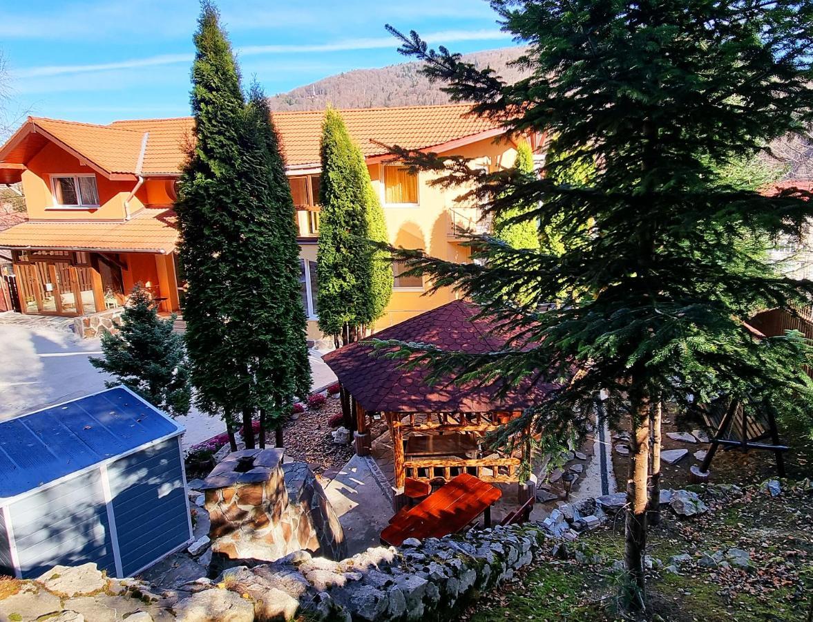 Marble Villa: Luxury Estate - Central But Intimate Sinaia Bagian luar foto