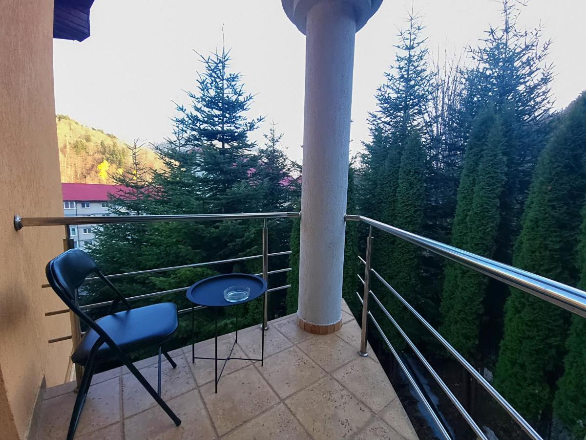 Marble Villa: Luxury Estate - Central But Intimate Sinaia Bagian luar foto