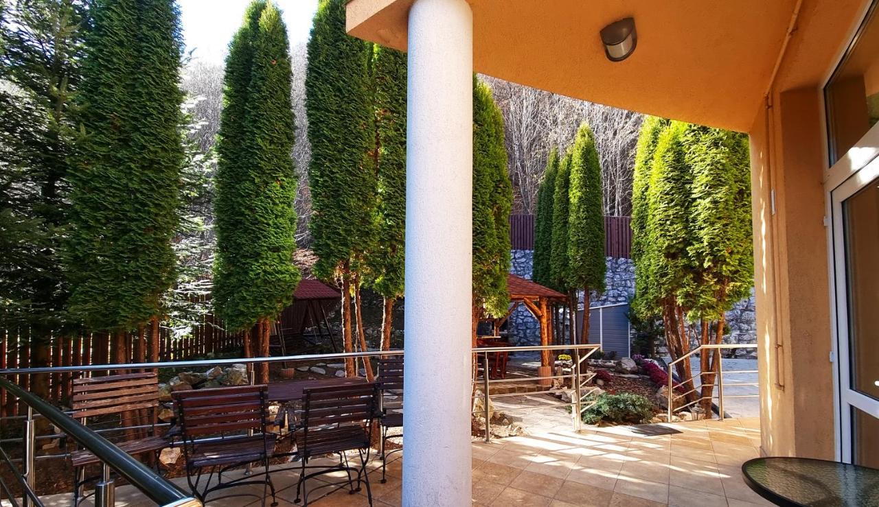 Marble Villa: Luxury Estate - Central But Intimate Sinaia Bagian luar foto