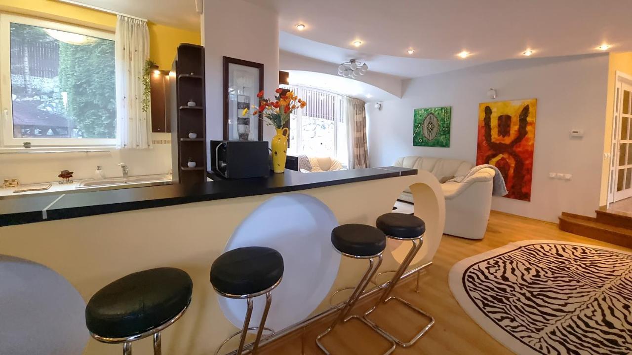 Marble Villa: Luxury Estate - Central But Intimate Sinaia Bagian luar foto