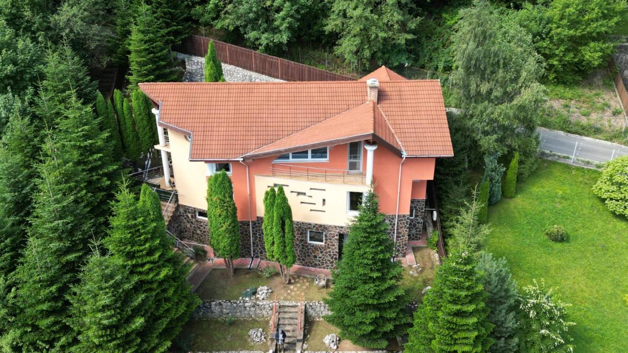 Marble Villa: Luxury Estate - Central But Intimate Sinaia Bagian luar foto
